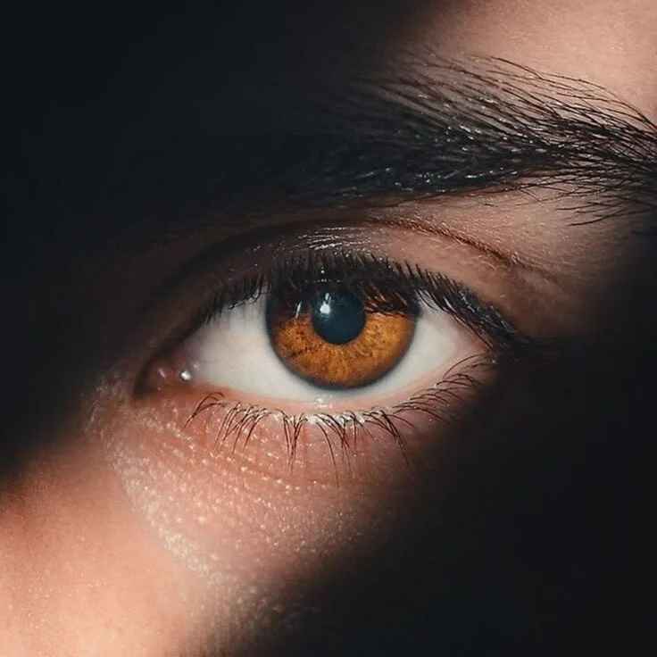 deshighoda1