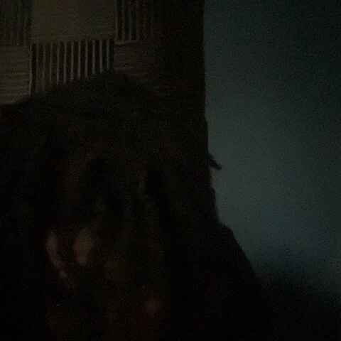 BigZoePapi
