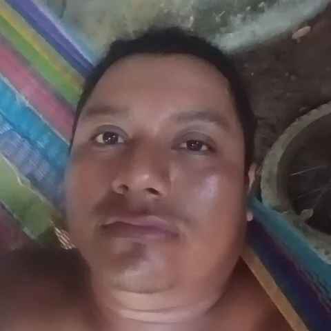 MolarRegimen