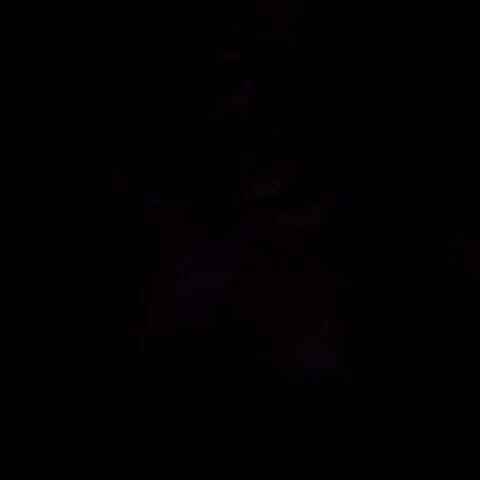 ca4rl1n