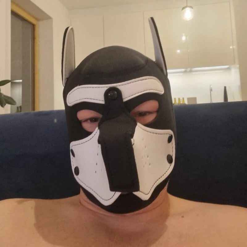 ZKO_Bull