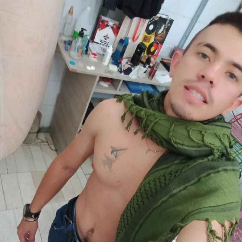 kaled_gatito