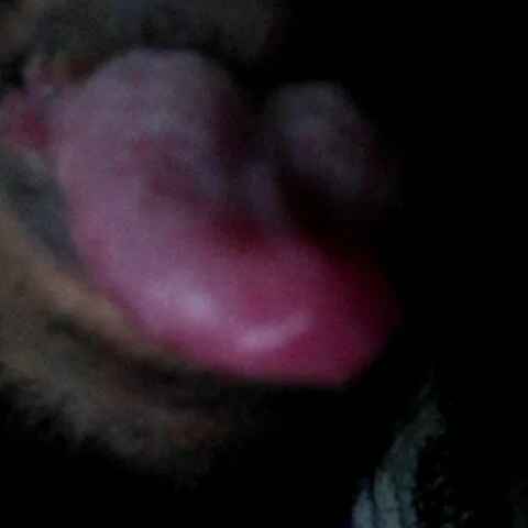 DickaholicXXX