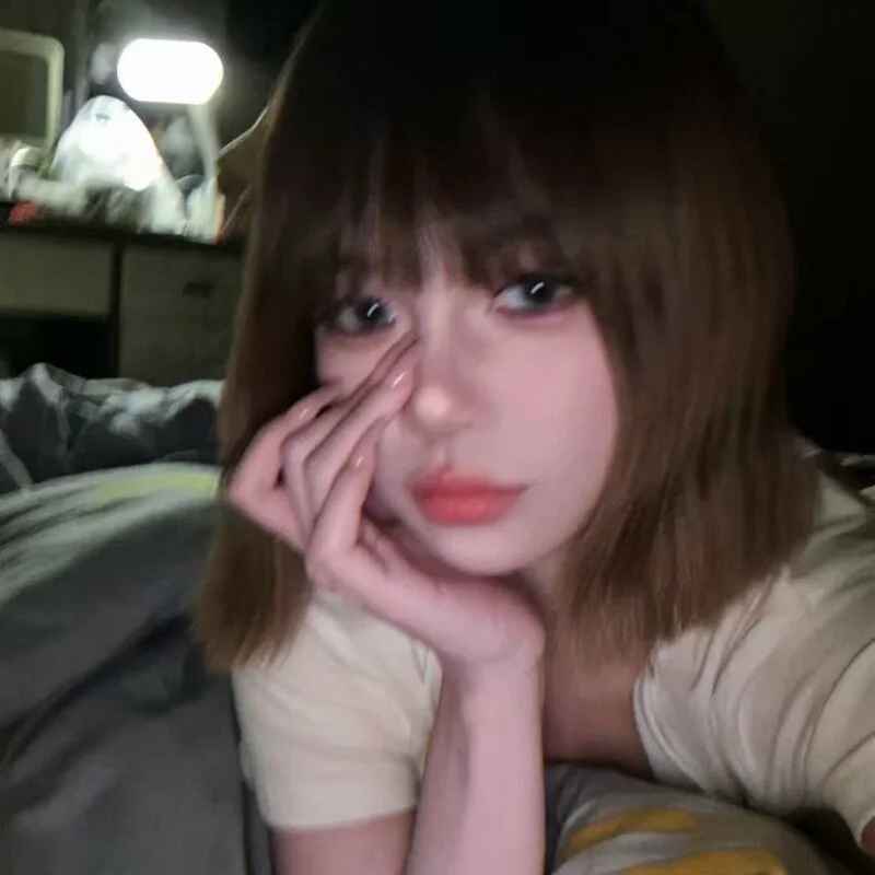 MeimoDog
