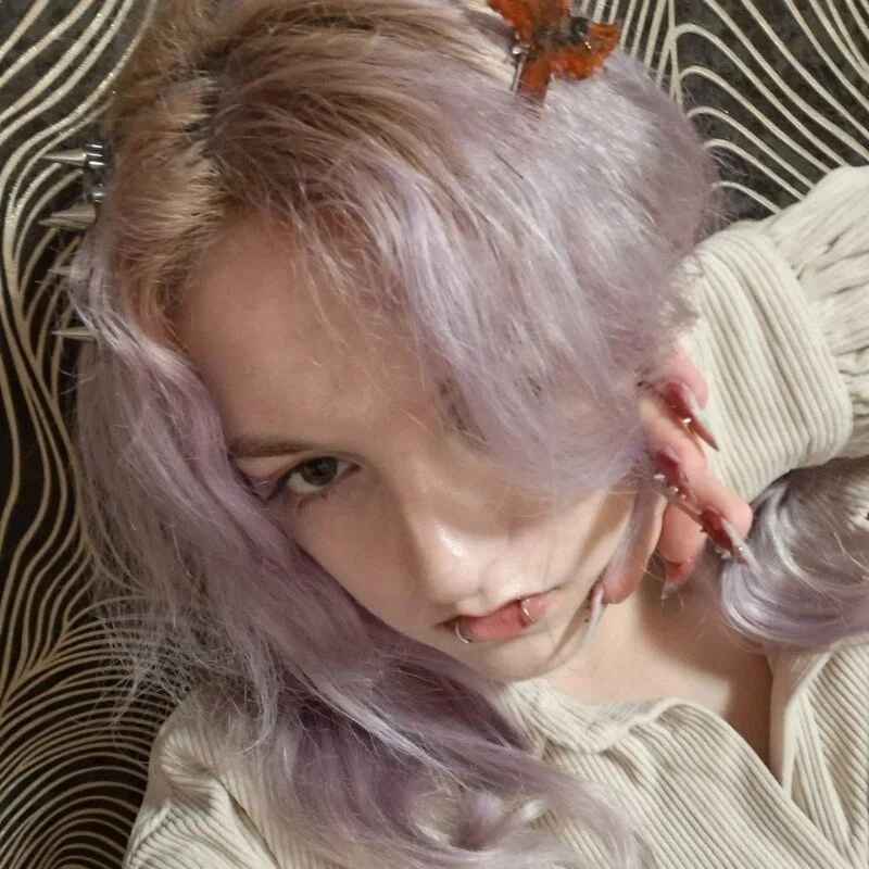 DollyMur_