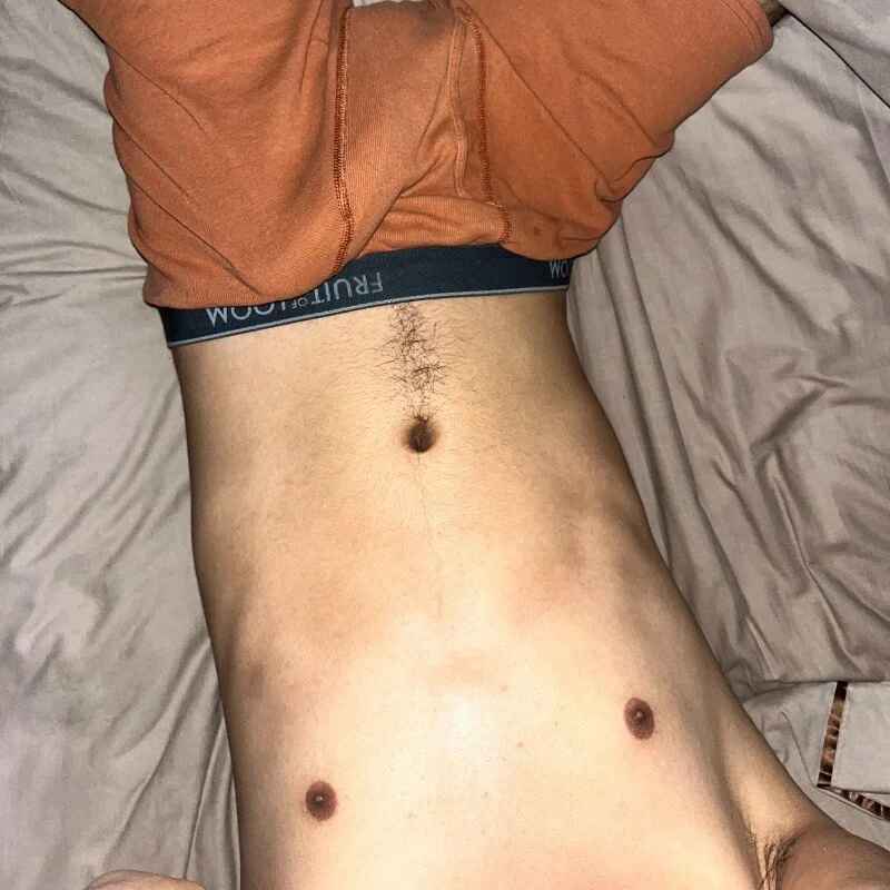 Latin_Stallion