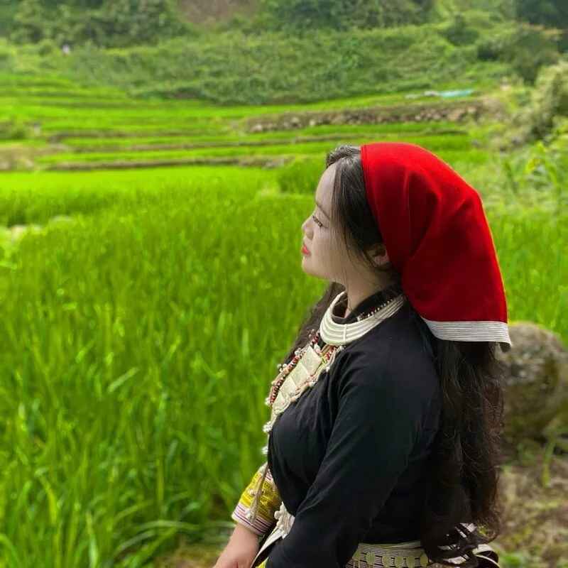 bikhidj