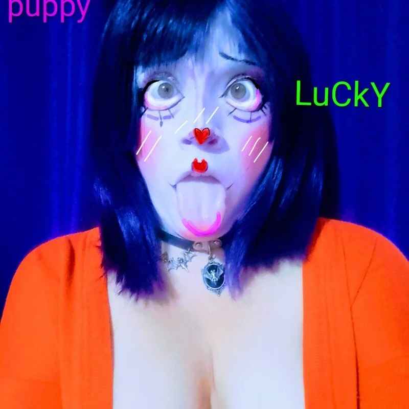 LUCKYPpuuppy