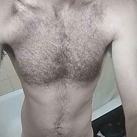 kauliaris28