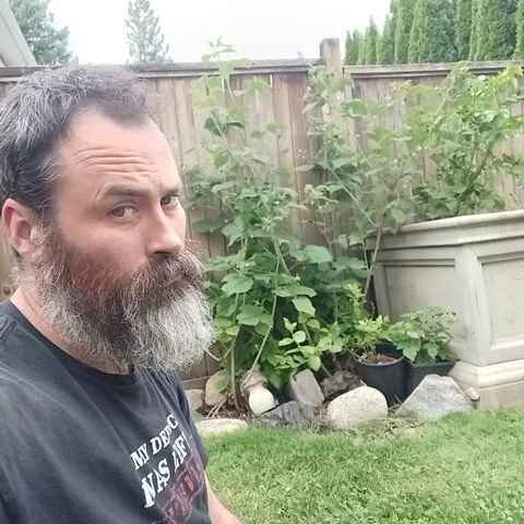 BeardMadeMeDoIt