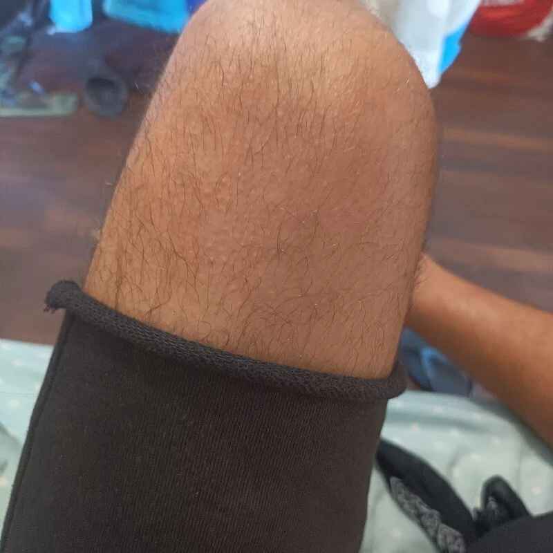 Alessandrino_09