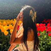 Small_Titss — FansOnlyX creator profile