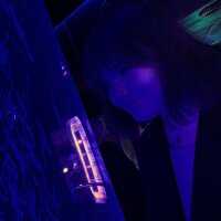 sophia_loly — FansOnlyX creator profile