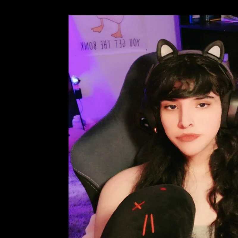 BimboCat — FansOnlyX creator profile