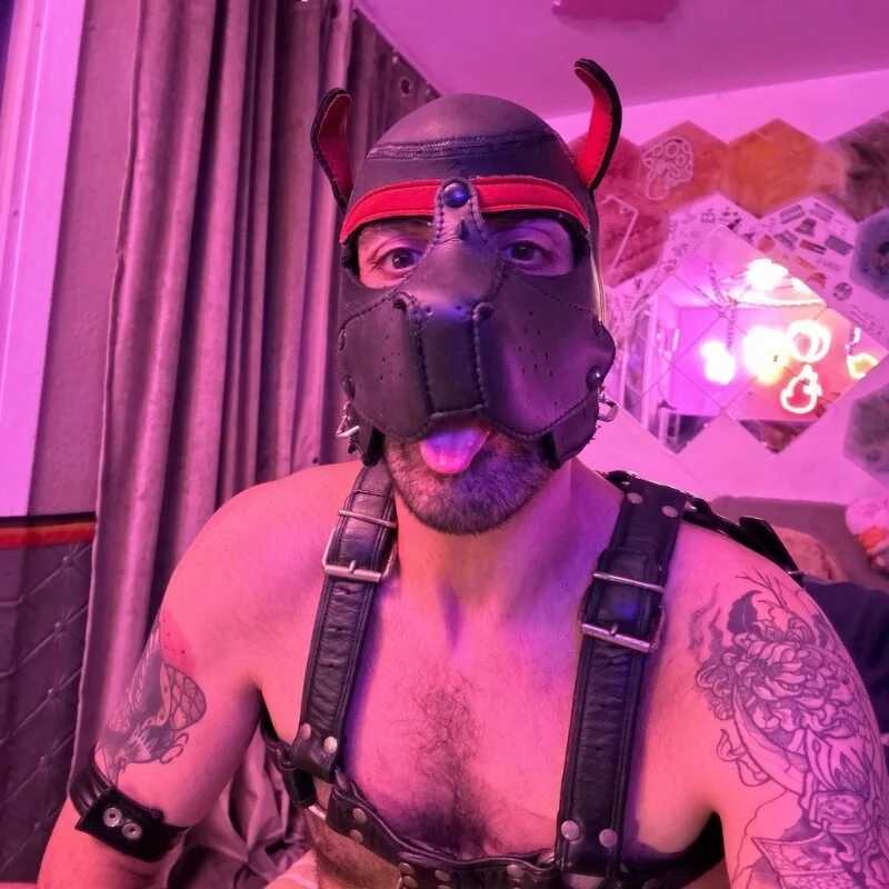 danix_wild_wolf — FansOnlyX creator profile