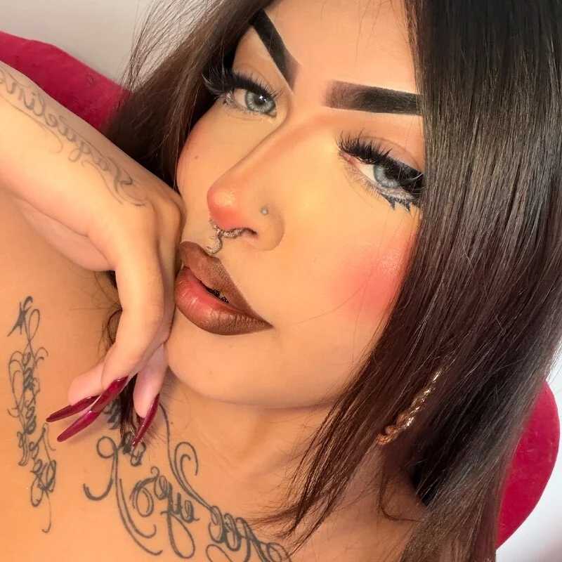 hollycute__ — FansOnlyX creator profile