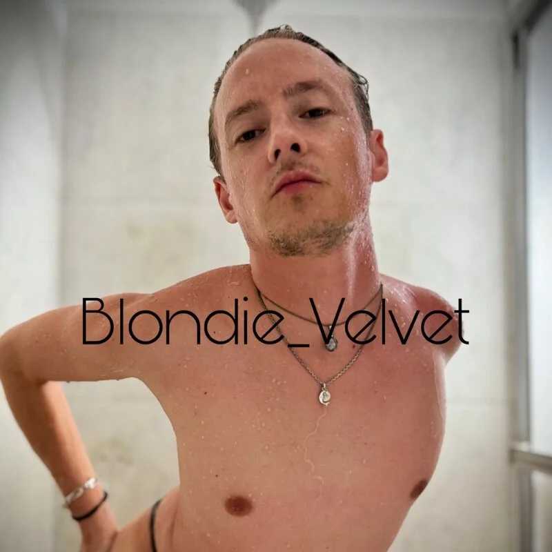BlondieVelvet — FansOnlyX creator profile