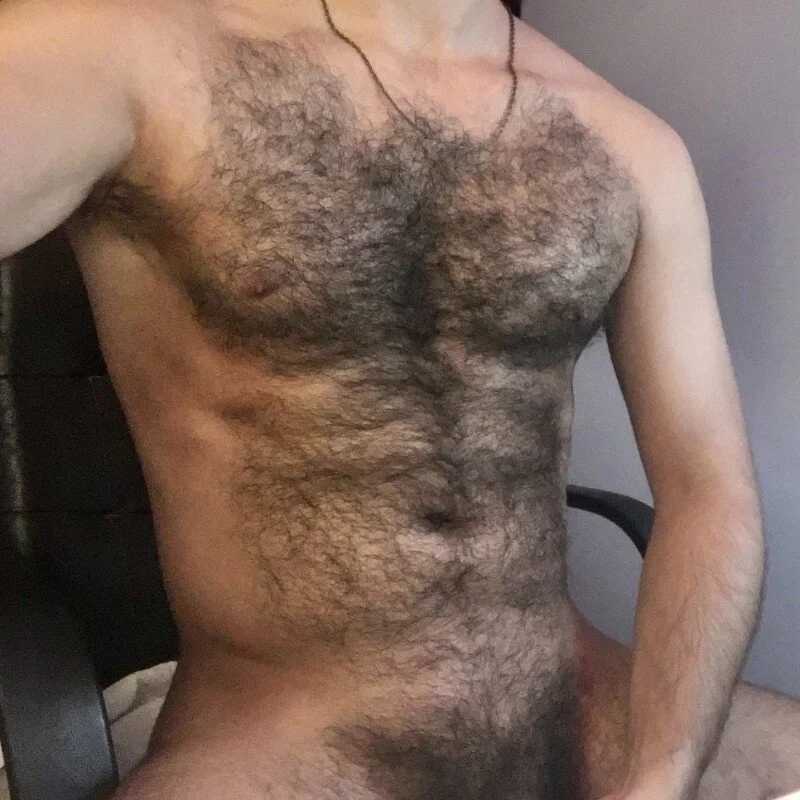 nicehairystud77 — FansOnlyX creator profile