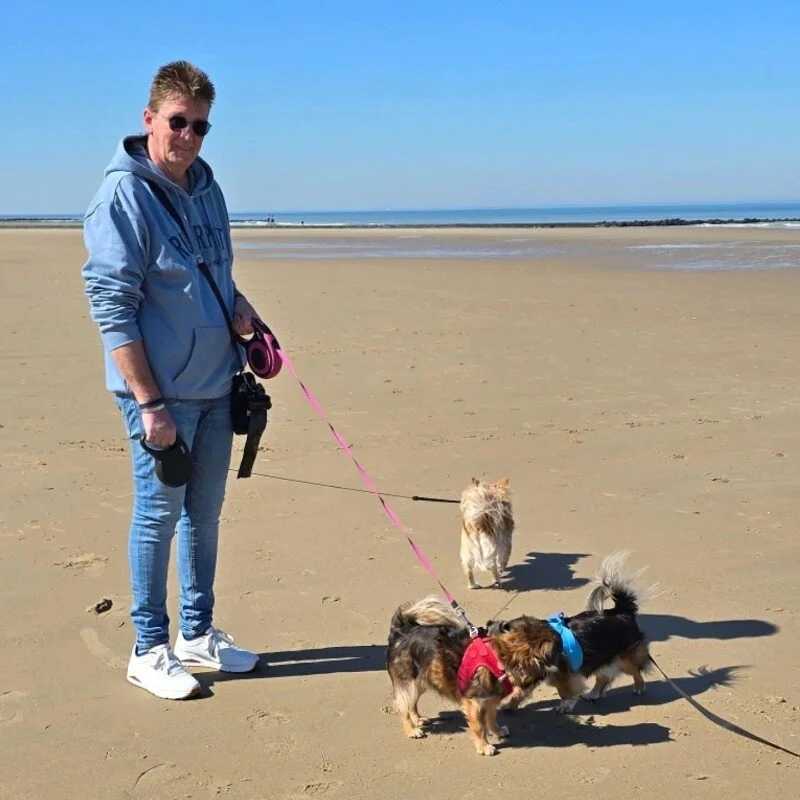 Frankbibo — FansOnlyX creator profile