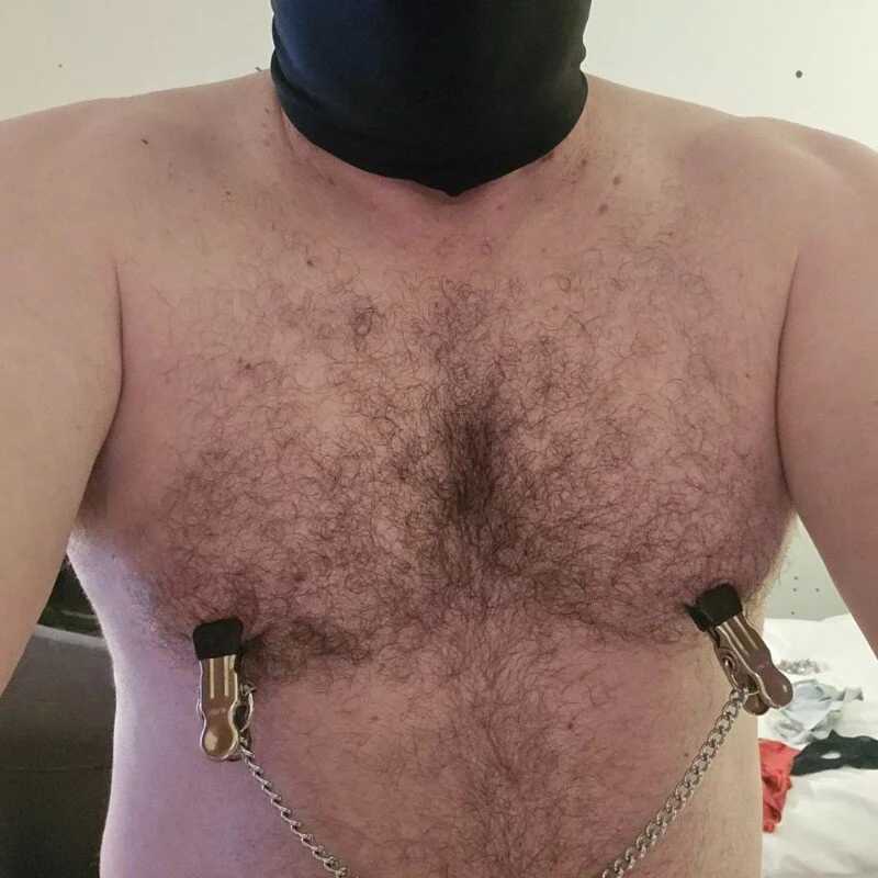 Sissyslaveforsale — FansOnlyX creator profile