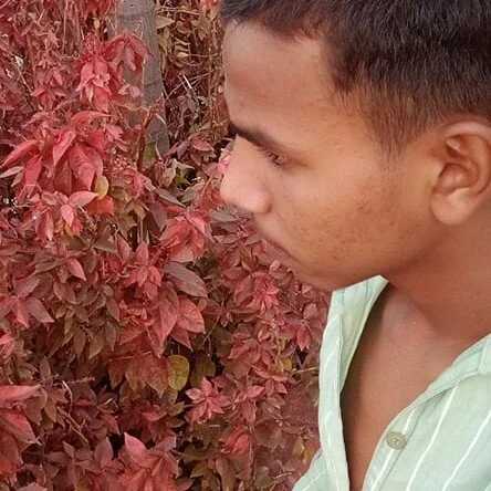 Aryan_Anjali — FansOnlyX creator profile