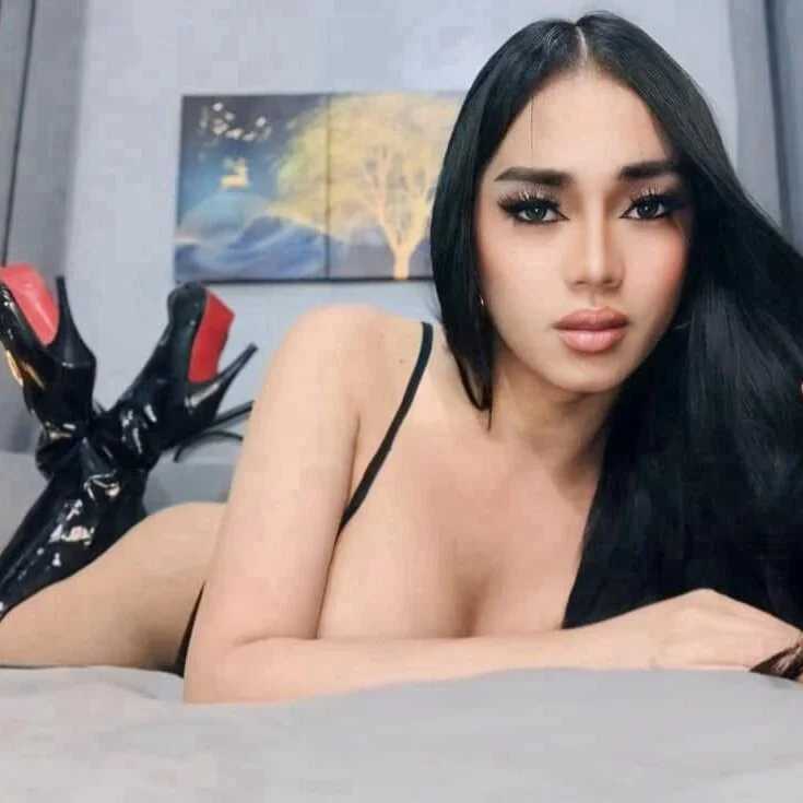 BigCockDominant_Trans — FansOnlyX creator profile