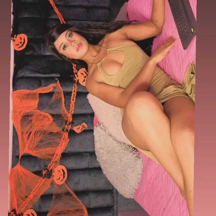 KendallVixen — FansOnlyX creator profile