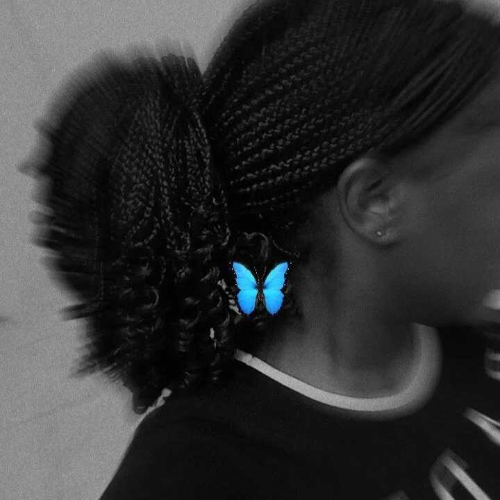 divajaida — FansOnlyX creator profile