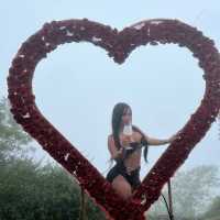 Serafina_del_Mar__ — FansOnlyX creator profile