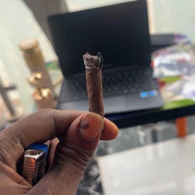 biggest_black_cock — FansOnlyX creator profile