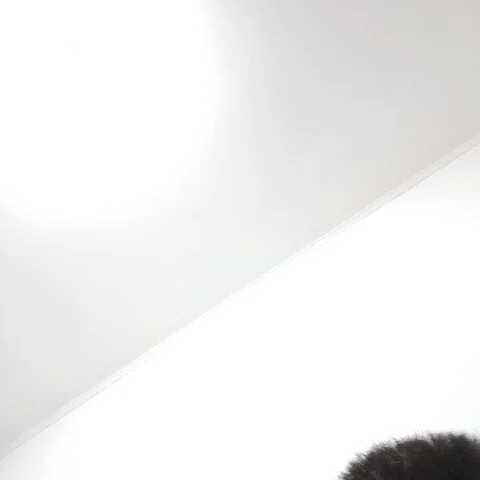 levergonk — FansOnlyX creator profile