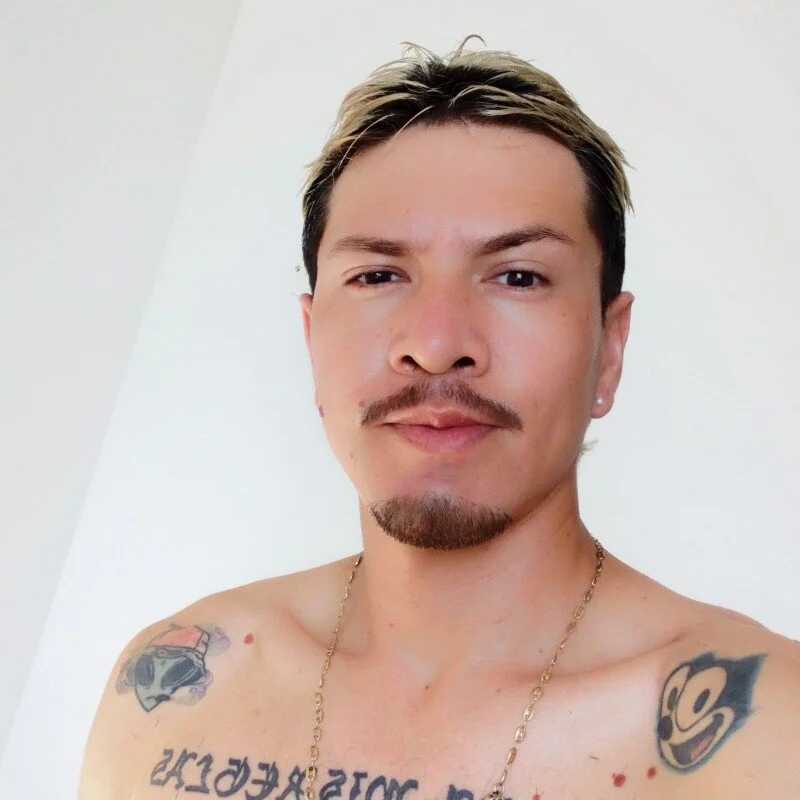 roccovidalxxx — FansOnlyX creator profile