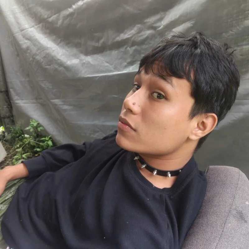 elpelinmellamoyo — FansOnlyX creator profile