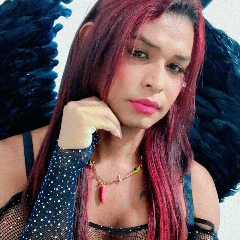 sexycock-hard — FansOnlyX creator profile