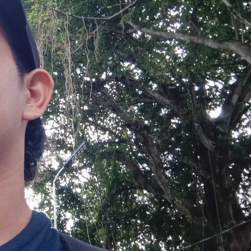 Pisarico11 — FansOnlyX creator profile