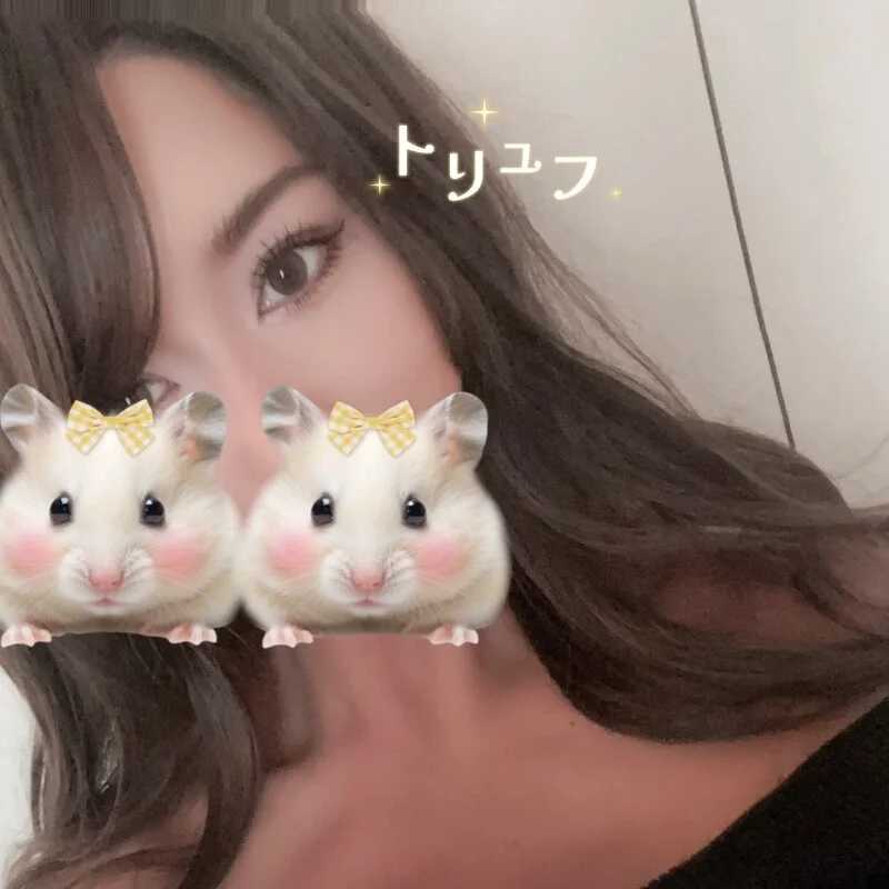 Toriyufu — FansOnlyX creator profile