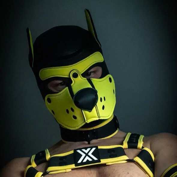 WildyLynx — FansOnlyX creator profile