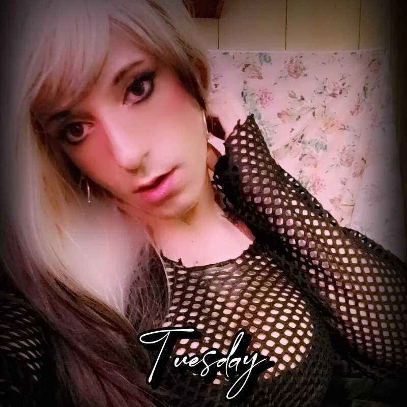 Rebeckalove — FansOnlyX creator profile