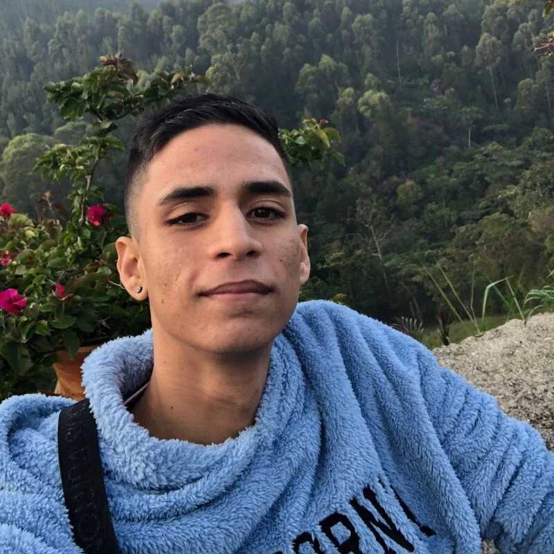 Max_TheHorseDick — FansOnlyX creator profile