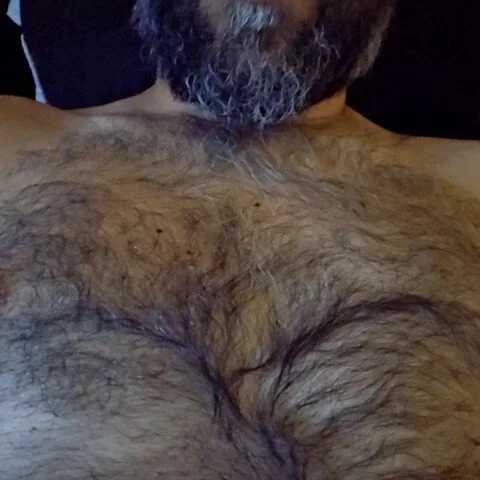SexplorerMFB — FansOnlyX creator profile