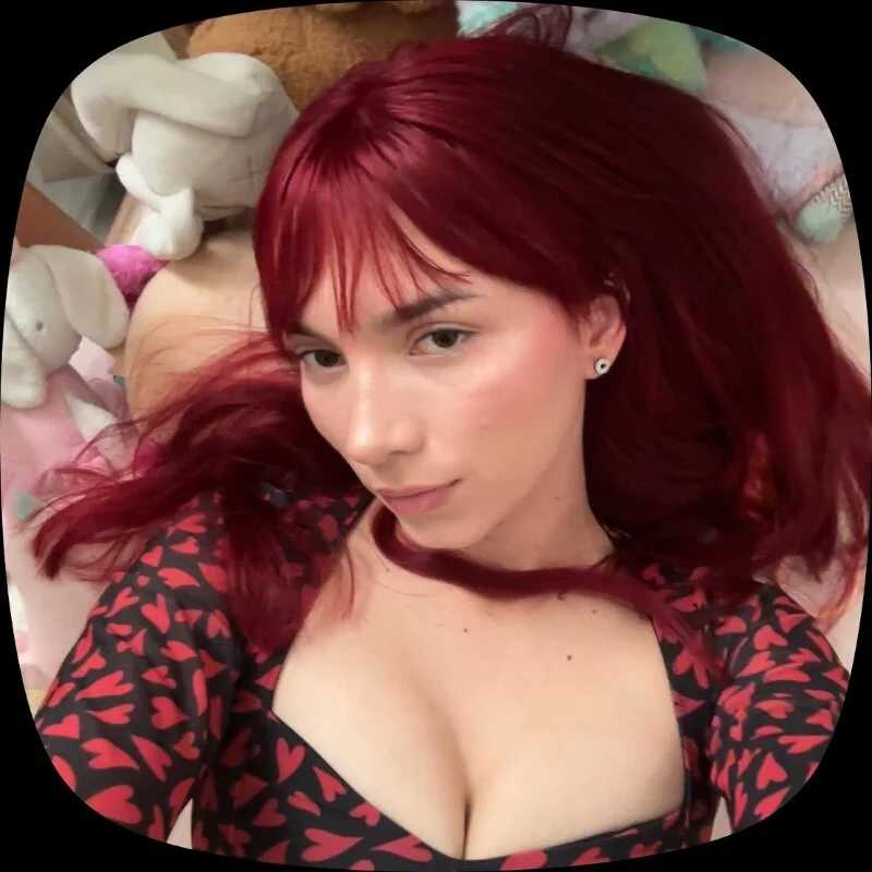 yourfavcami — FansOnlyX creator profile