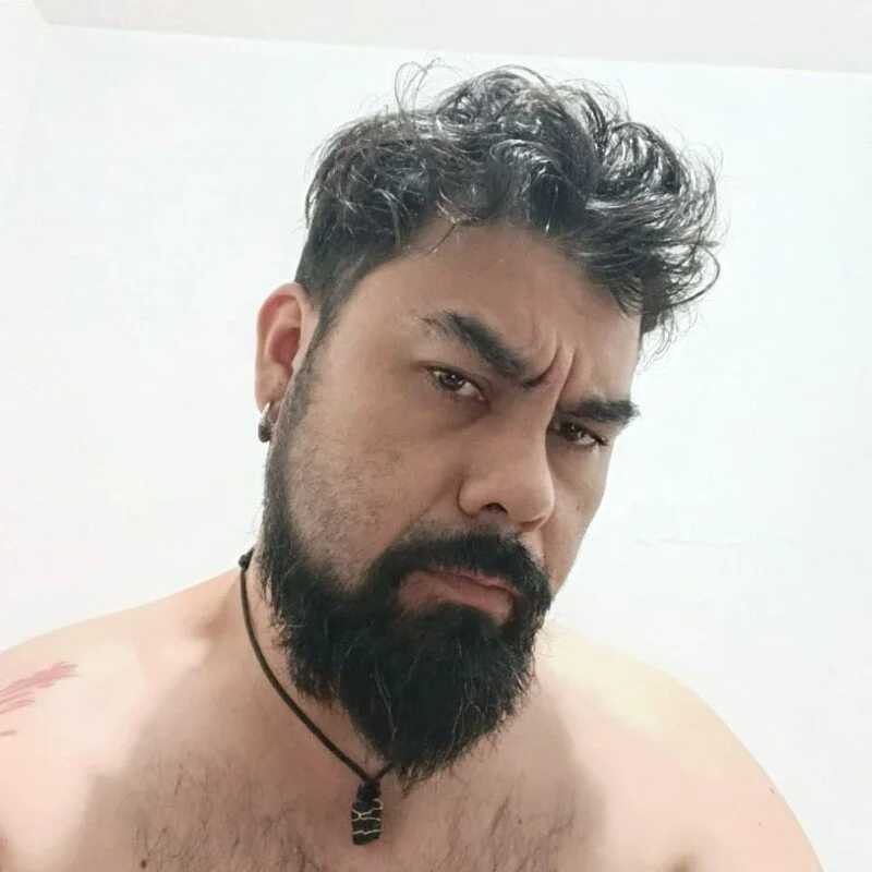 thethickbear — FansOnlyX creator profile