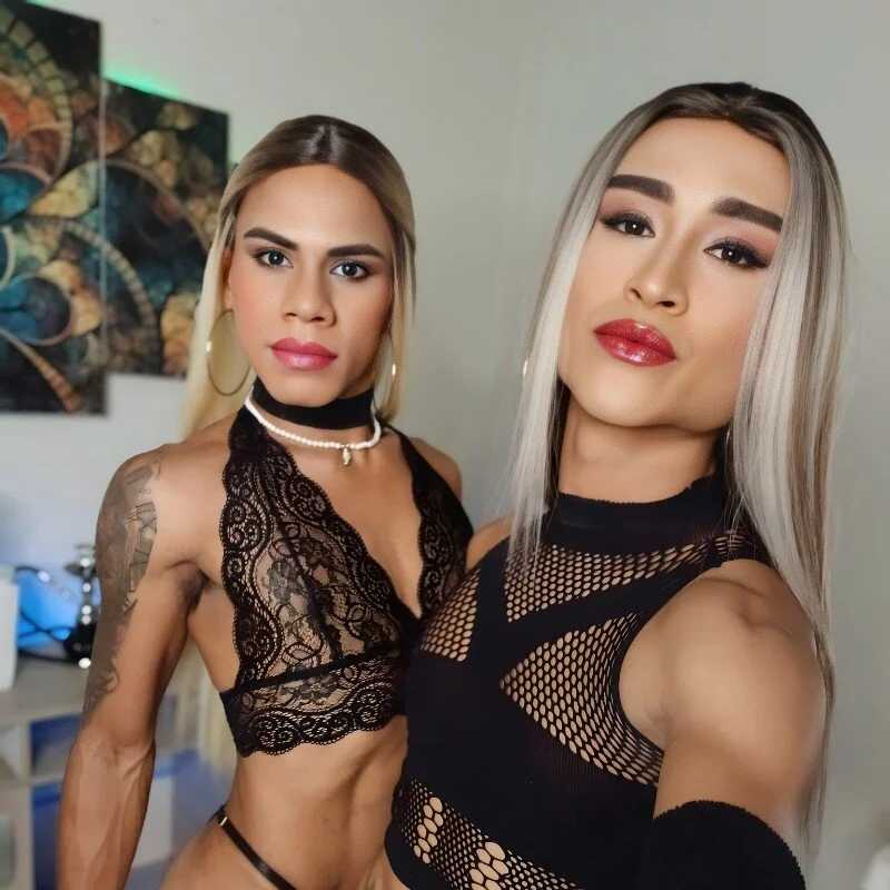 TransGoddess77 — FansOnlyX creator profile