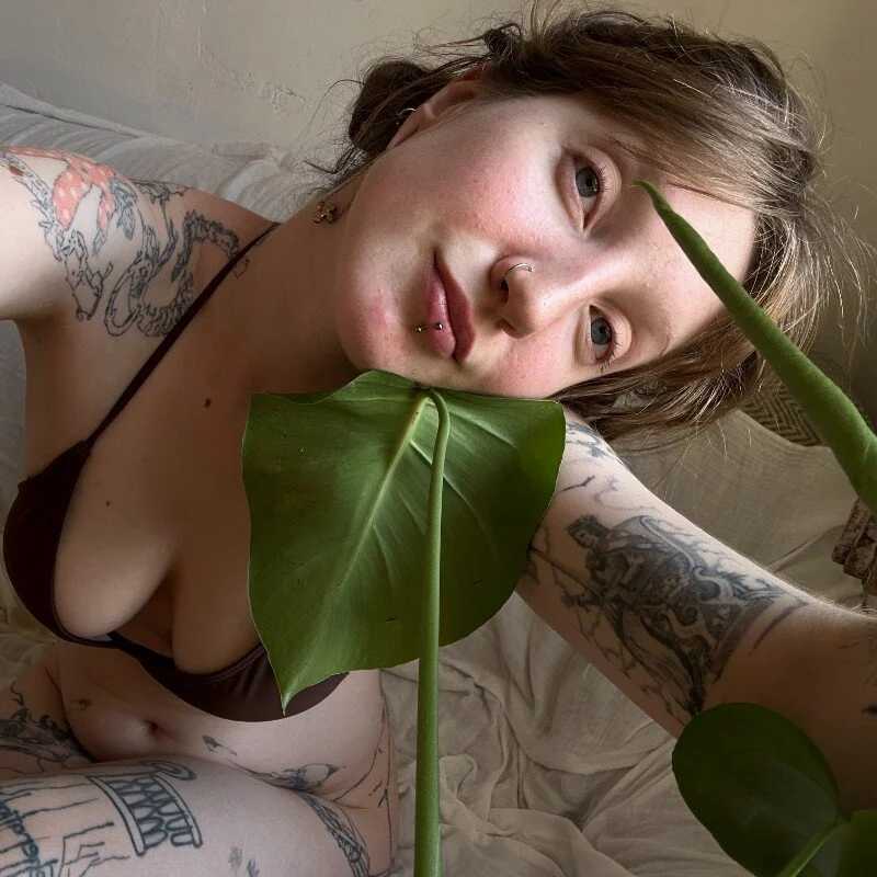 Miranda2_0 — FansOnlyX creator profile