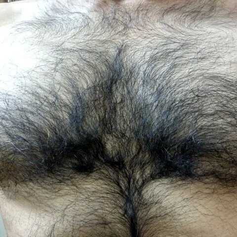 hard___cock — FansOnlyX creator profile