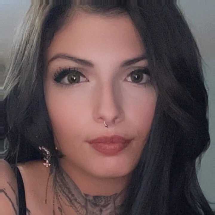 Nova_Vexxx — FansOnlyX creator profile