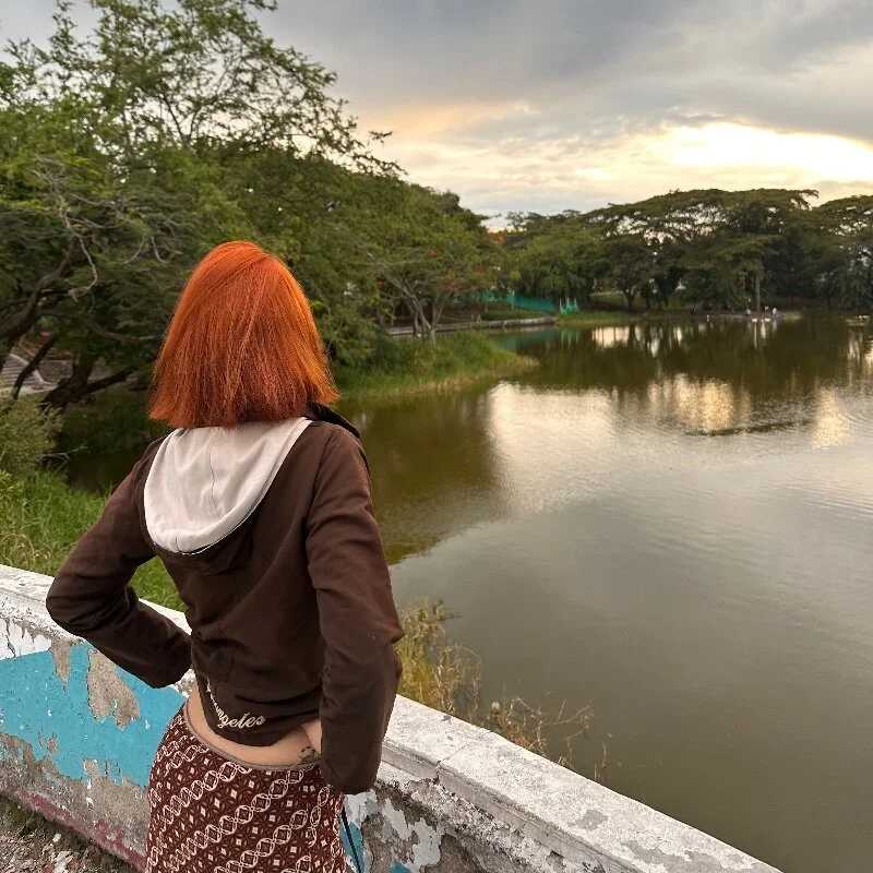 luna_sunflower__ — FansOnlyX creator profile