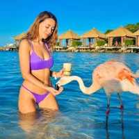 Flamingo_Queen — FansOnlyX creator profile