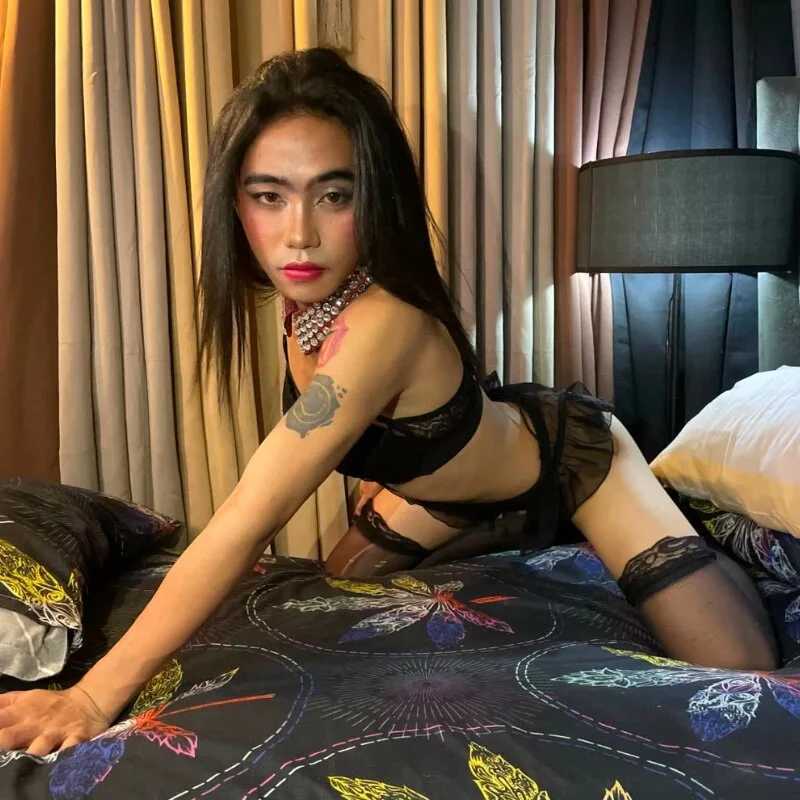 WildCelineMisstress — FansOnlyX creator profile