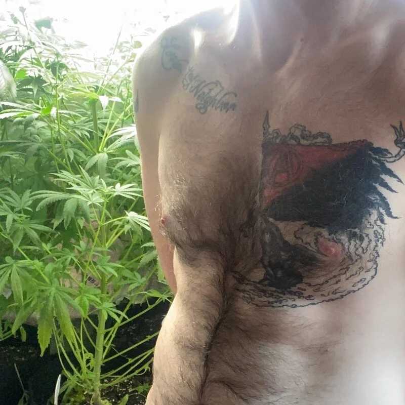 SeanSativa — FansOnlyX creator profile